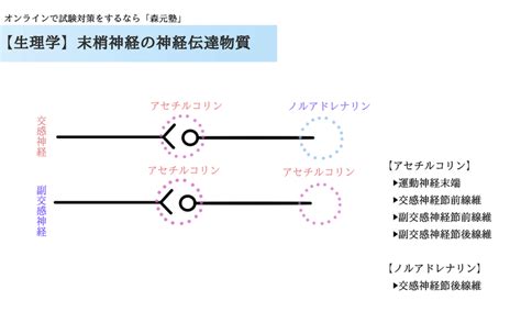 2023節前節後意思